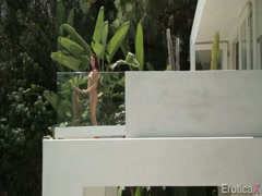 Love and story porn free HD