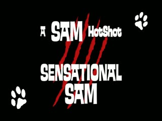 Crazy dog fucking his owner hardcore - Dog sex HD 