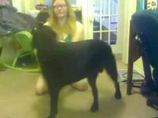 This is exactly chooser to animal sex 