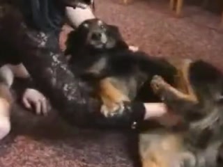 Beauty young girl loves dog for sex 