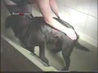 Shw Show cam  - she want sex dog now