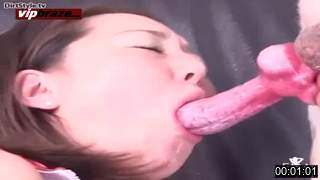 japanese want swallow dog 