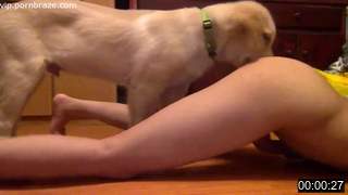 big boob for cute dog 