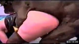 bad wife sex with dog 