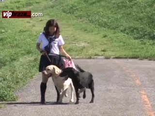 Outdoor Fucked Animal Dog