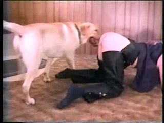 Mature Babe Has sex Dog - dog sex