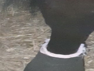 (Horse Fuck Big Cook GAY Runking 2018)