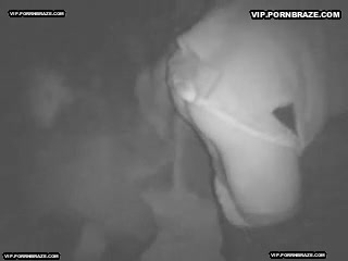 big cock horse fucking ass