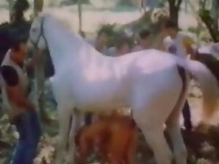 Pony porn with a nice-looking beauty doll