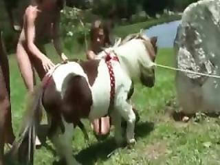 Trained beast fucks her tight hole