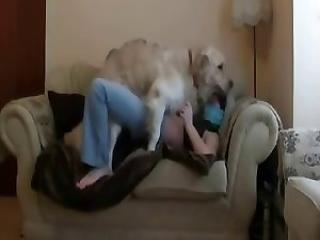 Dog porn video recorded on spy cam