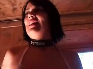 Amateur zoophilia act with a sexy doggy