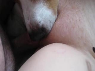 My hotwife and I having sex and our dog passing his tongue