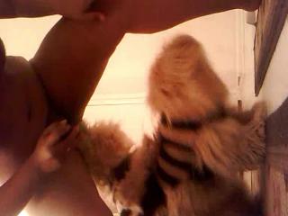 Fun with the Dog Gang