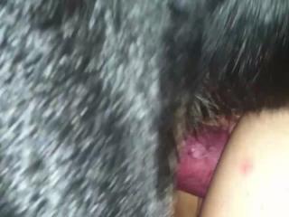 Hot Russian Wife with Dog