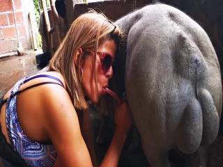 Girlfriend amateur boar 3